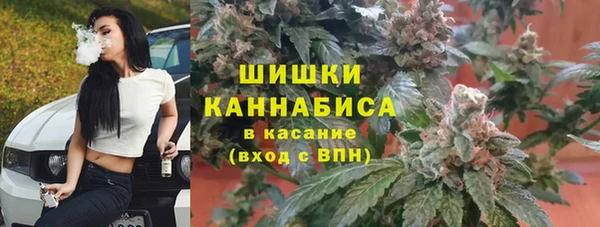 молекула духа Елизово