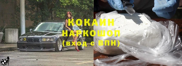 молекула духа Елизово