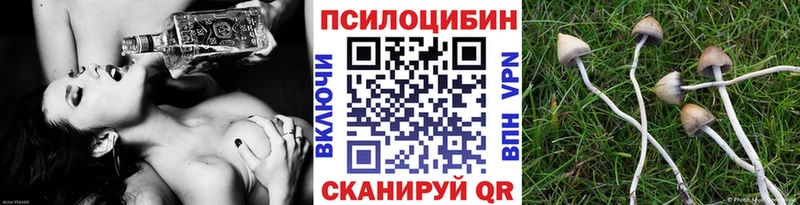 купить Славгород Галлюциногенные грибы GOLDEN TEACHER