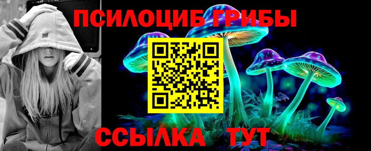 Галлюциногенные грибы GOLDEN TEACHER  Псилоцибиновые грибы GOLDEN TEACHER  Славгород  Вход с VPN 