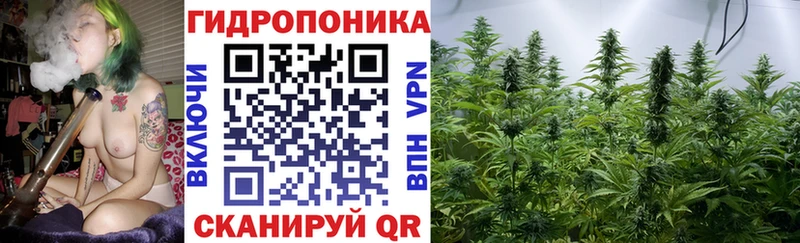 Бошки марихуана планчик darknet Telegram Славгород
